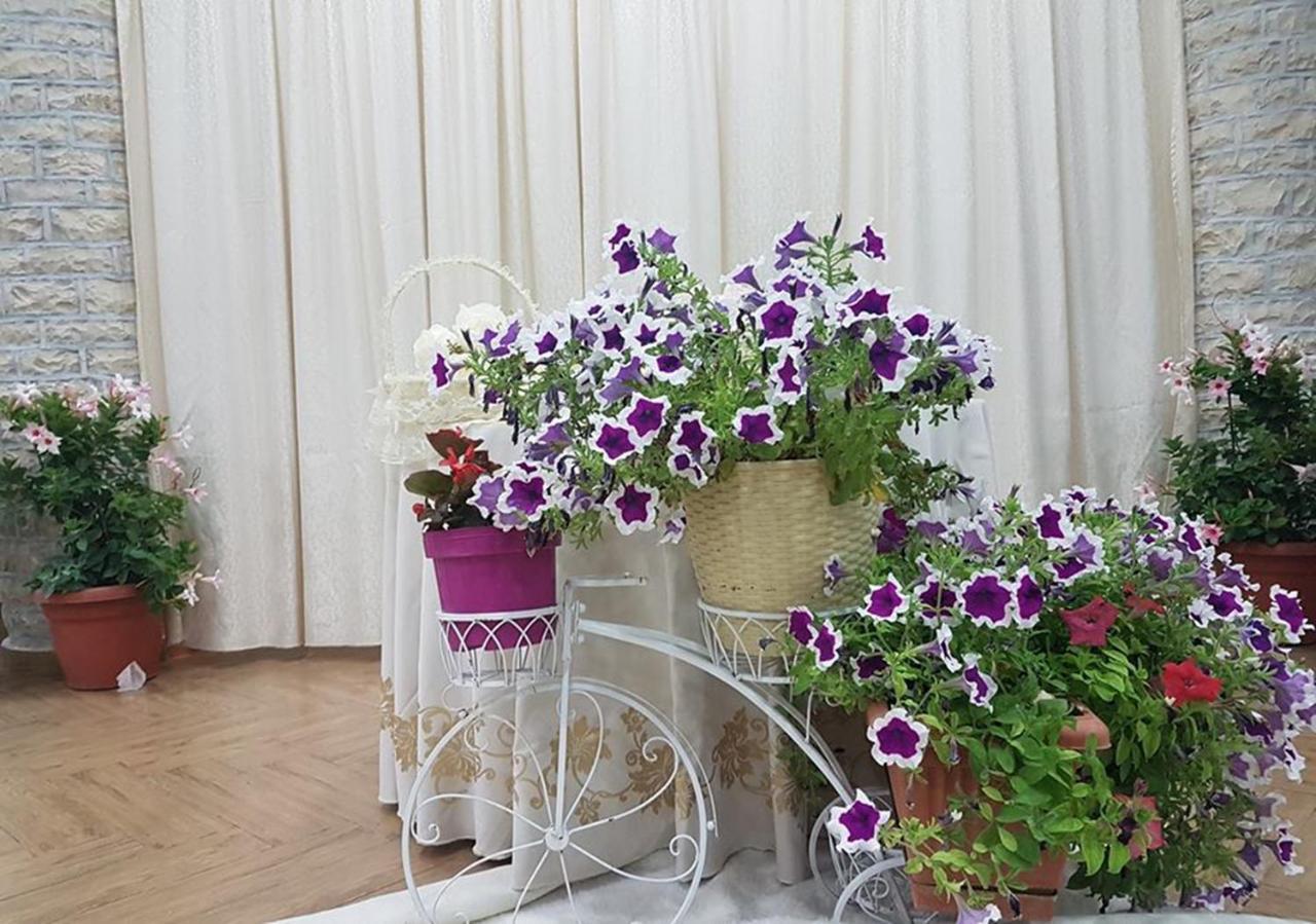 KT Qato Hotel Bogove Buitenkant foto