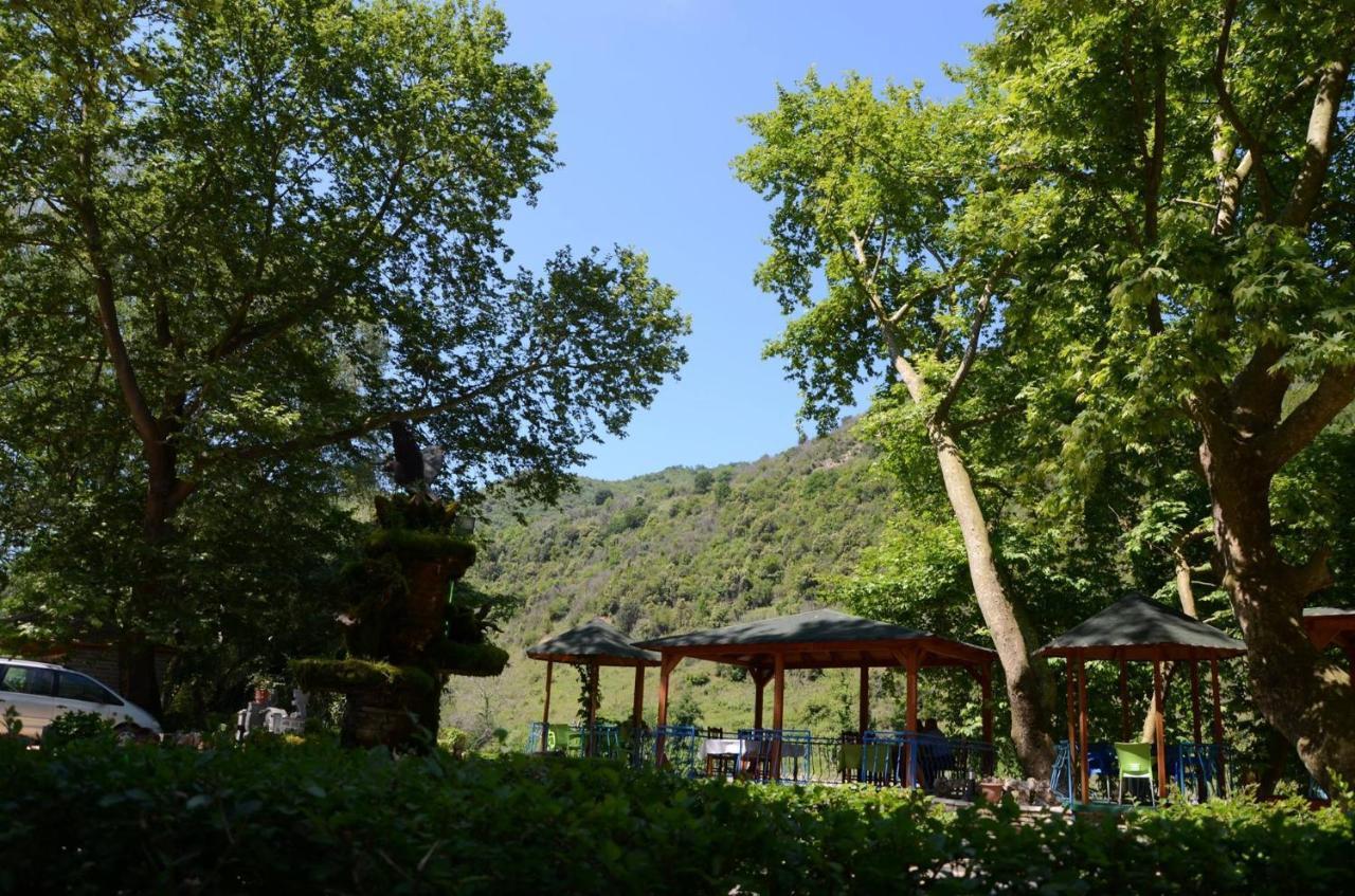 KT Qato Hotel Bogove Buitenkant foto